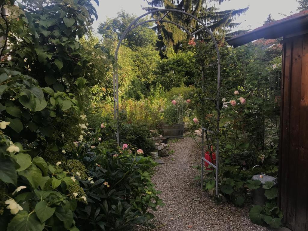Au Jardin Zuchwil