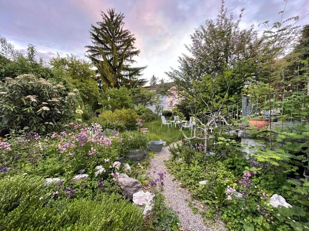 बिस्तर और नाश्ता Au Jardin Zuchwil