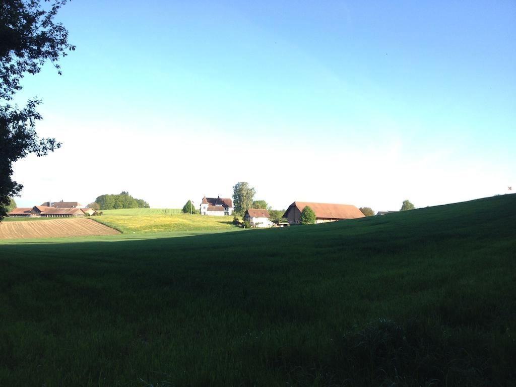 Au Jardin 3* Zuchwil